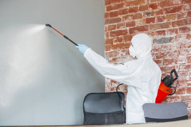 Best Forensic Mold Investigation  in Bylas, AZ