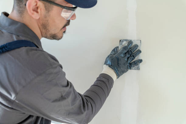 Best Basement Mold Removal  in Bylas, AZ