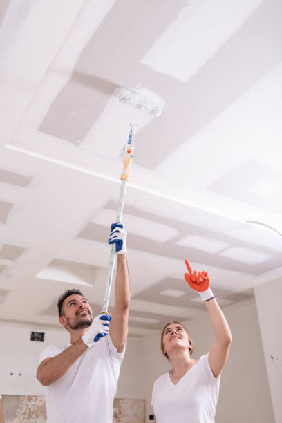 Best Comprehensive Air Testing for Mold Contaminants  in Bylas, AZ