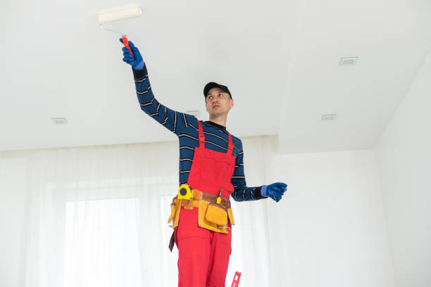 Best Mold Documentation for Insurance Claims  in Bylas, AZ