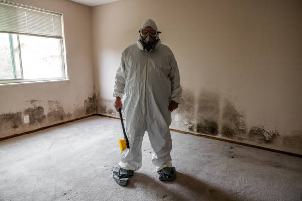 Best Biohazard Mold Removal  in Bylas, AZ