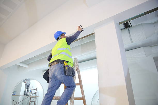 Trusted Bylas, AZ Mold Removal Experts